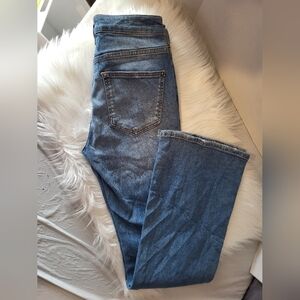 Anthropologie Pilcro Blue Denim Jeans, Button Fly,  Size 27